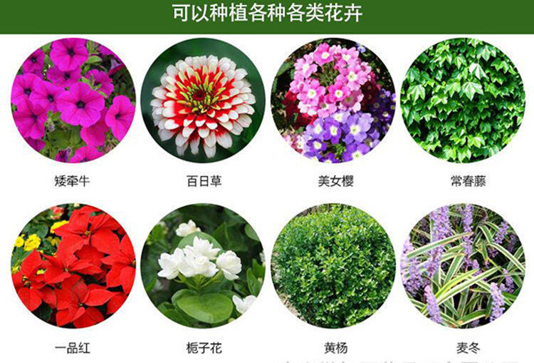 适合pvc护栏花箱价格、pvc护栏花箱批发种植的各种花草和植物图片